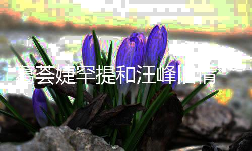 汪峰葛荟果 直子怡真爱婕罕旧情提和言相信章小苹